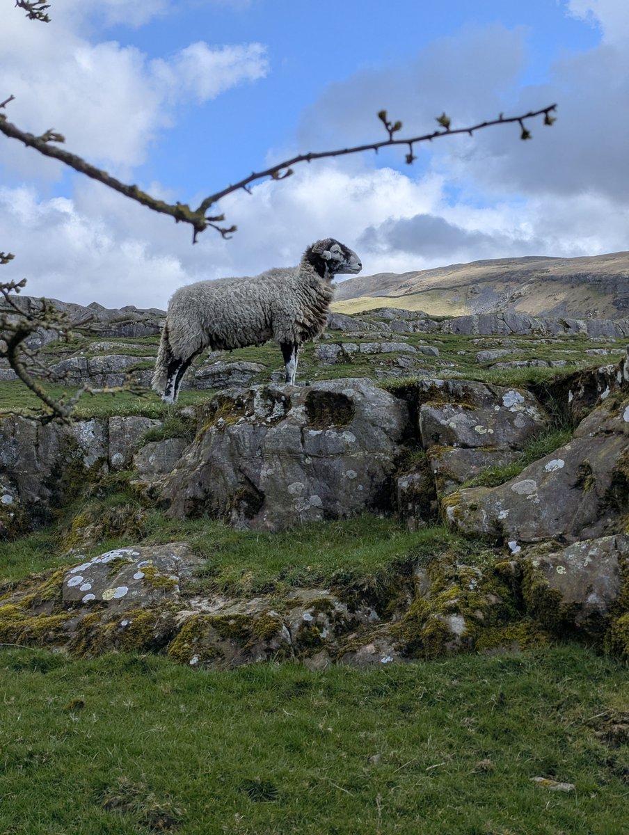 Friends of the Settle-Carlisle Line (FoSCL) tweet media