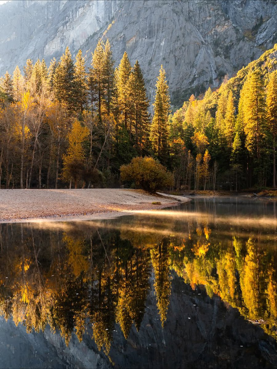 countryyvibes's tweet image. Yosemite National Park