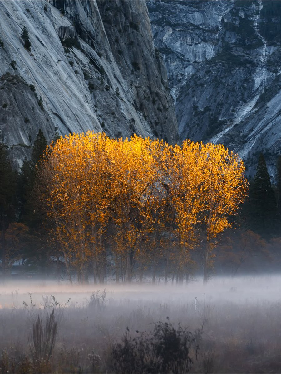 countryyvibes's tweet image. Yosemite National Park