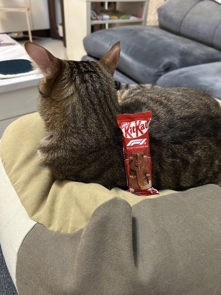 KogaLion0220's tweet image. 之前整櫃被搶的那個，想不到台灣有進😃
但是人到了這個年紀齁，吃完一整輛覺得那個糖的量齁救命我要鼠掉惹😇