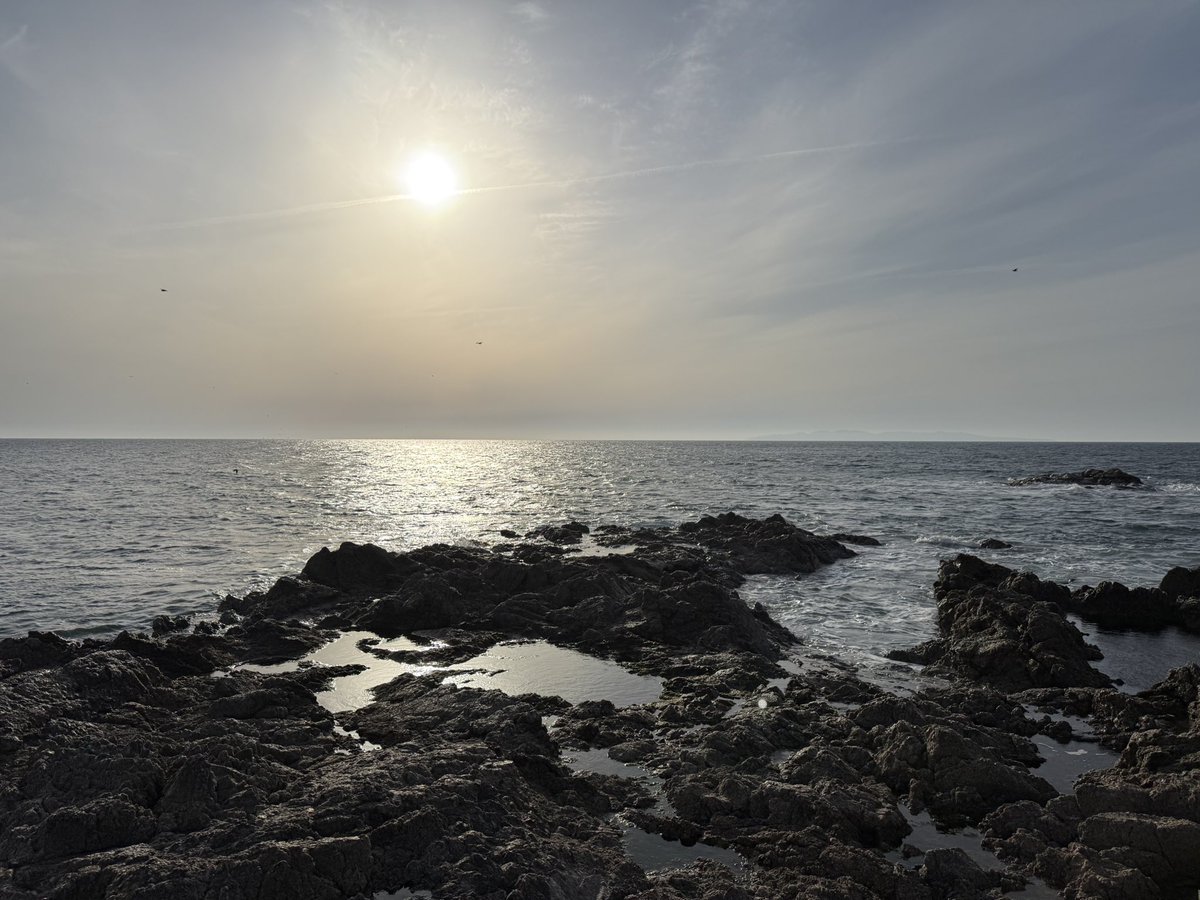 だー@ゴルフ好きの経営してる人 tweet media