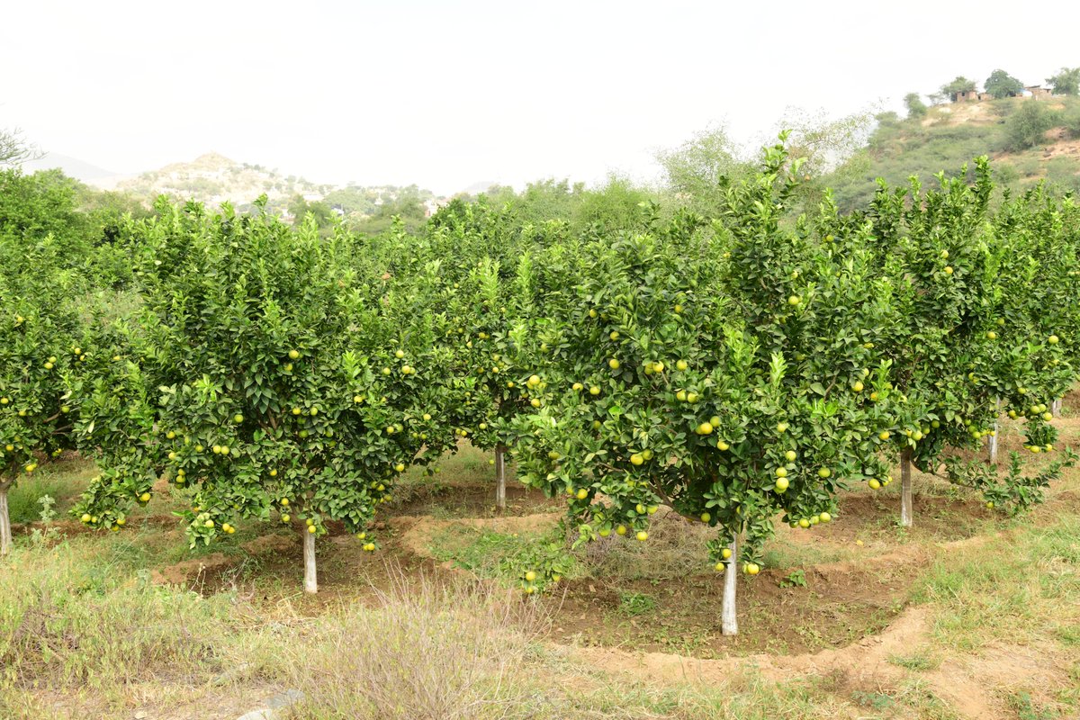 UNDP Eritrea tweet media