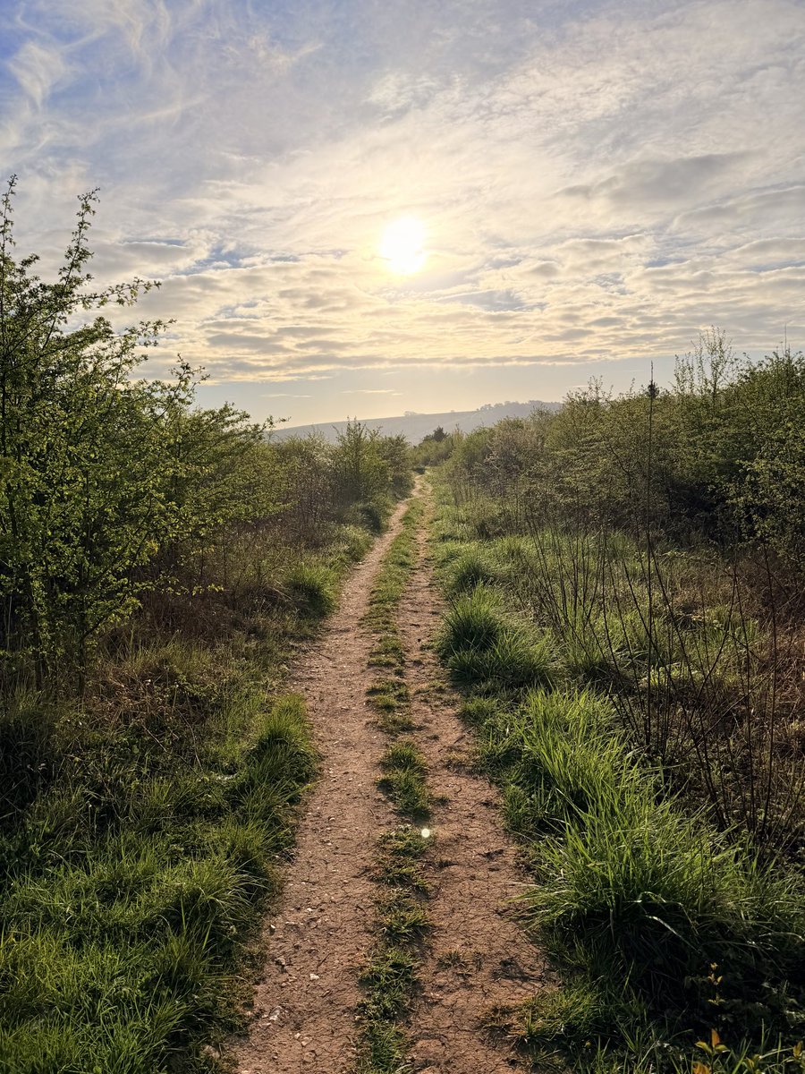 Claire Louise tweet media