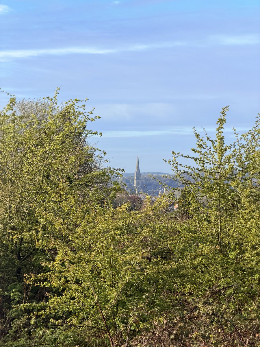 Claire Louise tweet media