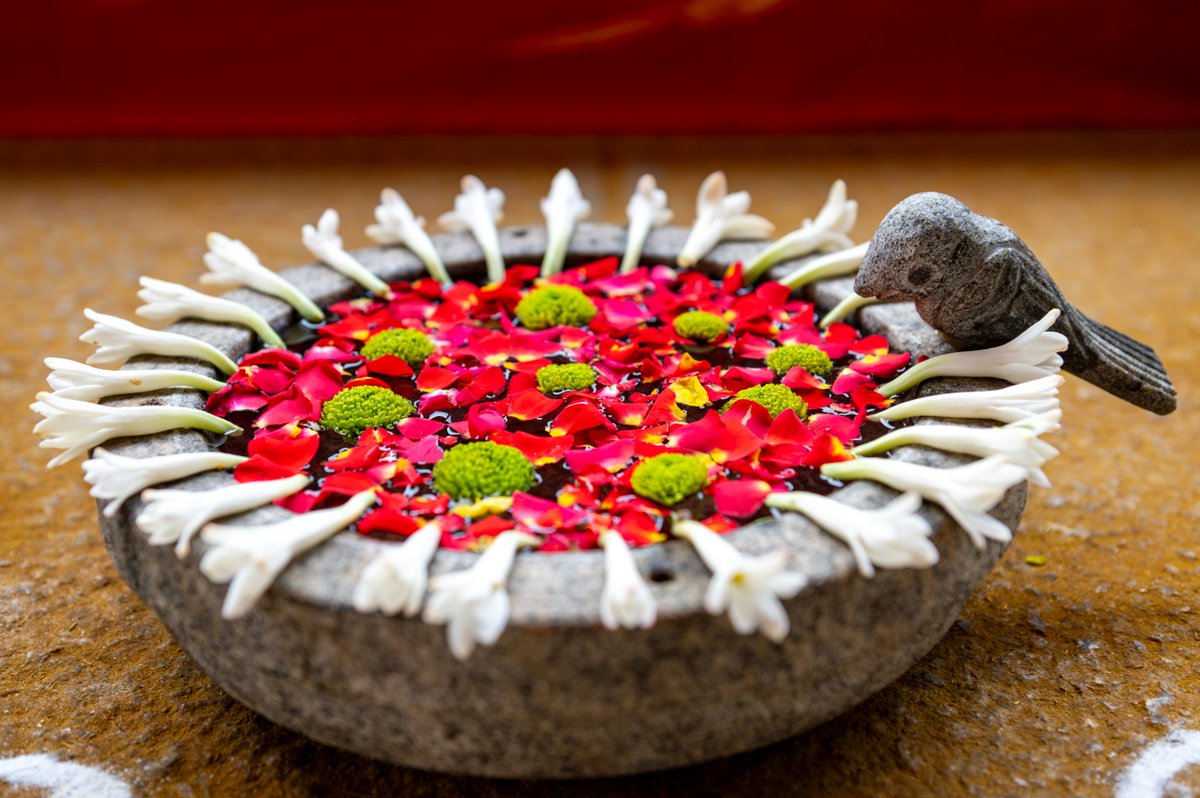 Isha Foundation tweet media