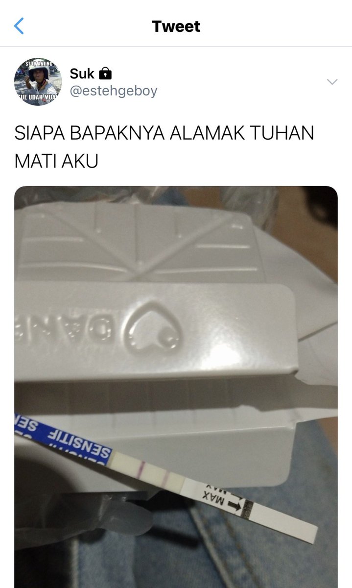 mai tweet media