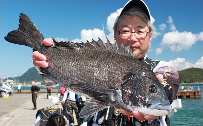 越智ブリ中（江戸研究家） tweet media