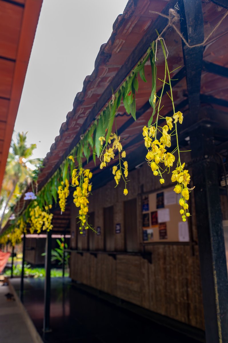 Isha Foundation tweet media