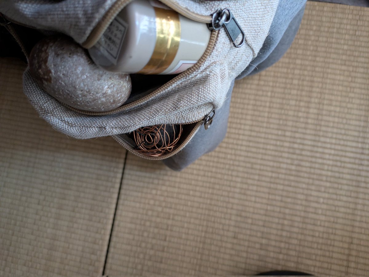 ヨモギ、ドクダミ、スギナ!野草食べるカイフ改めカヰフ tweet media