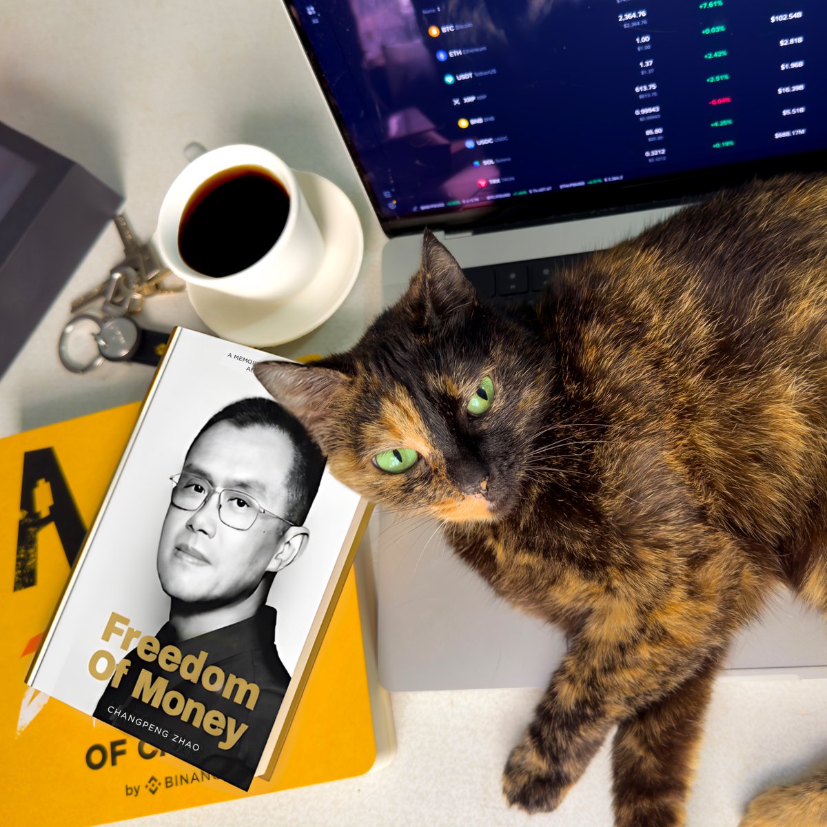 vaniko_17's tweet photo. Been in crypto since 2015 , and I still feel like I don’t fully understand how money really works.

After everything I’ve seen (and even meeting CZ), I want to go deeper.

Here are 5 things I hope to learn 👇

#FreedomOfMoneyCZ @binance @BinanceAngels https://t.co/6UWaX0ofo3