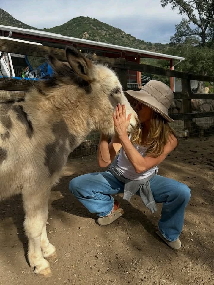 Jennifer Aniston tweet media