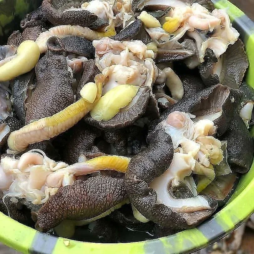 Stil Agro 🐌 tweet media