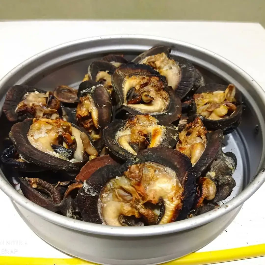 Stil Agro 🐌 tweet media