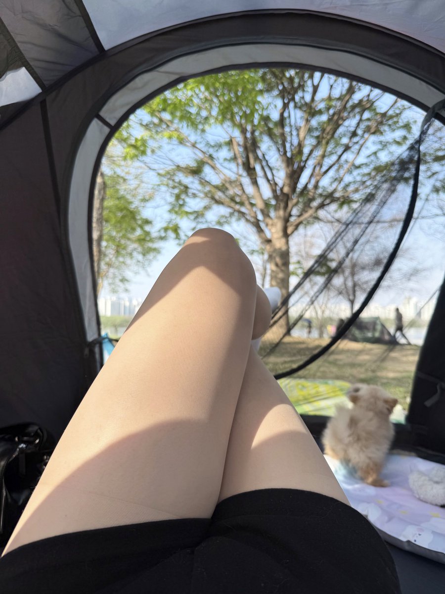 CD은채 tweet media