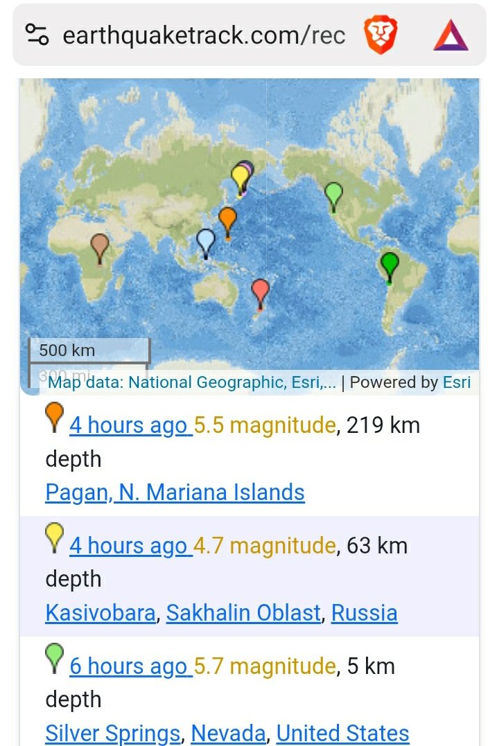 🐝 free to 🐝 free tweet media