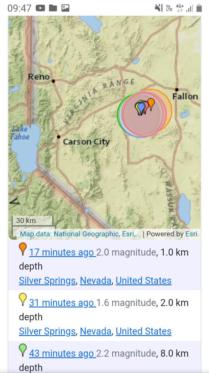 🐝 free to 🐝 free tweet media