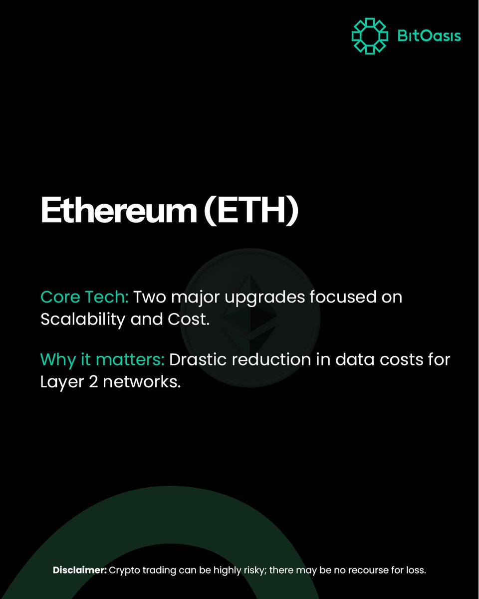 BitOasis tweet media