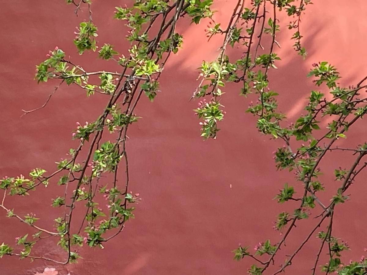 اسد الديروطى tweet media