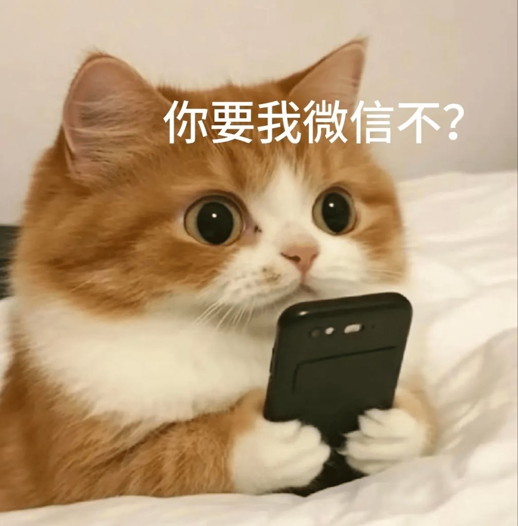 AD奶 tweet media