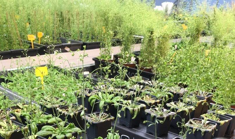 Casa de la Ciència CSIC València tweet media