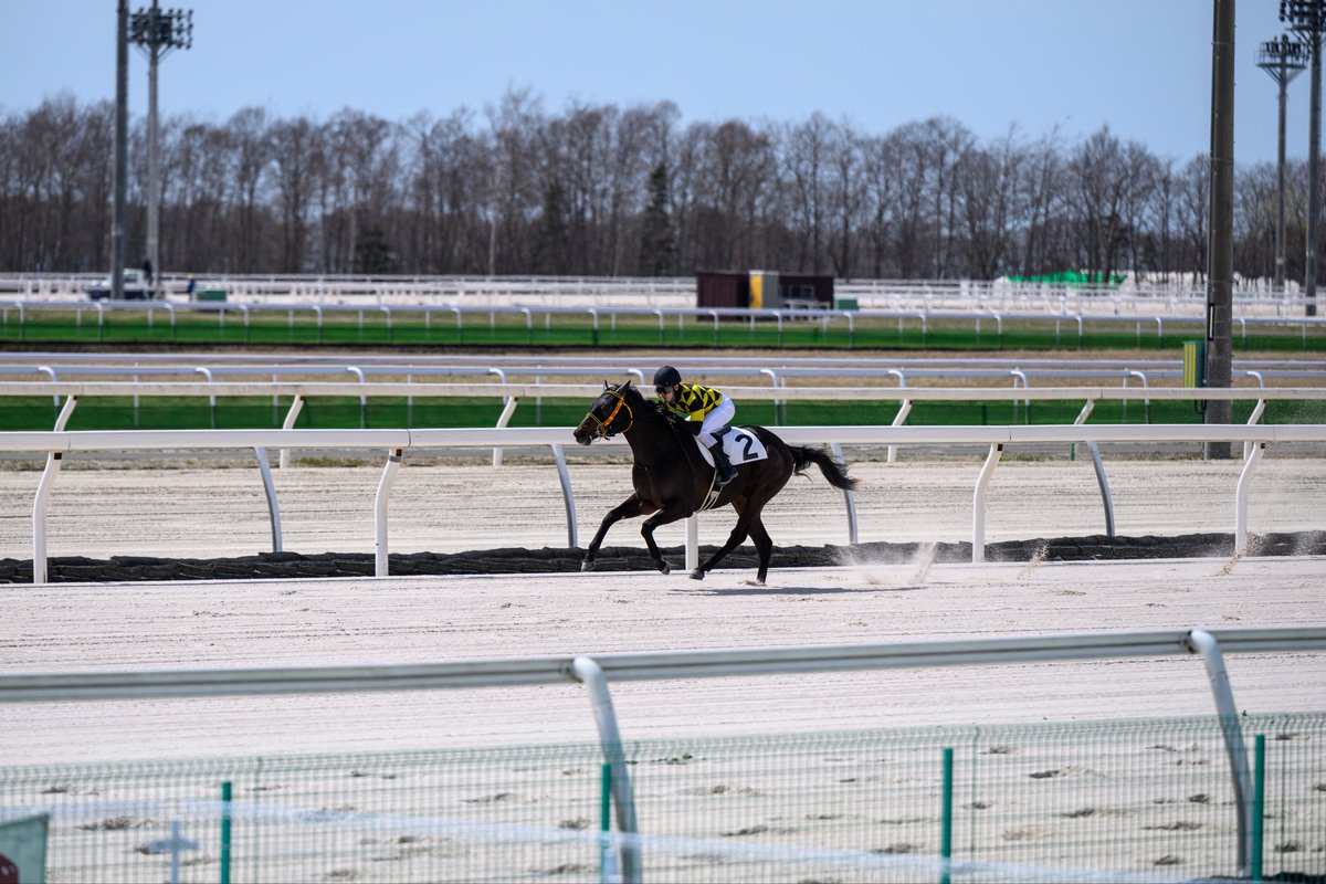 とむお tweet media