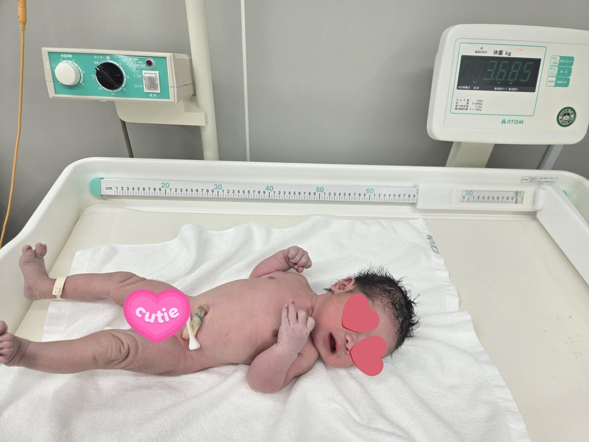 西真央(まりも社長)＠カンリル tweet media