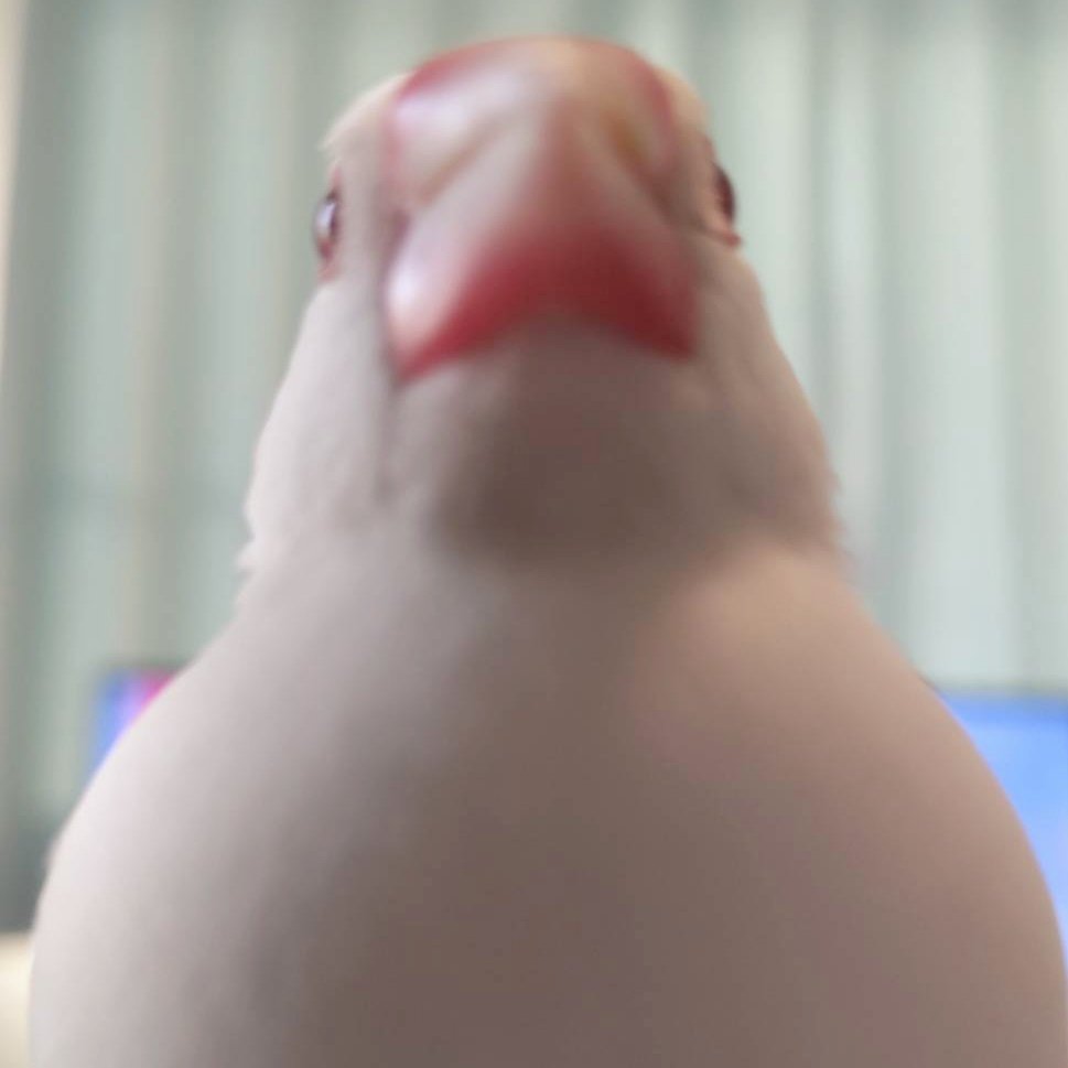 実熊倫礼 tweet media