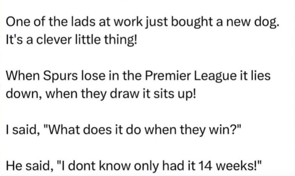 Ruairí Semple tweet media