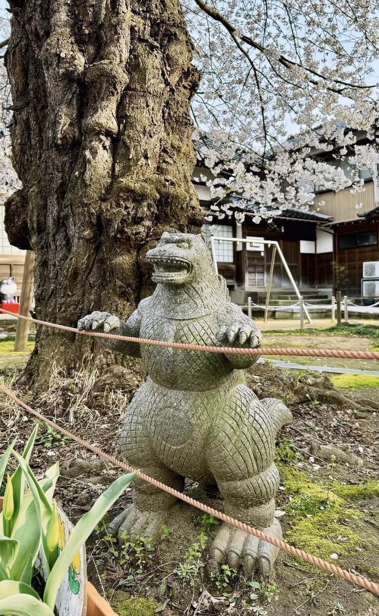 nijitokane's tweet photo. 静かな境内に身を置くと、心がふっと軽くなる気がします。風の音と線香の香りに癒される、穏やかな時間。🌿

#お寺   #神社仏閣 #御朱印  #御朱印巡り  #参拝 https://t.co/3FTpiBf2yP