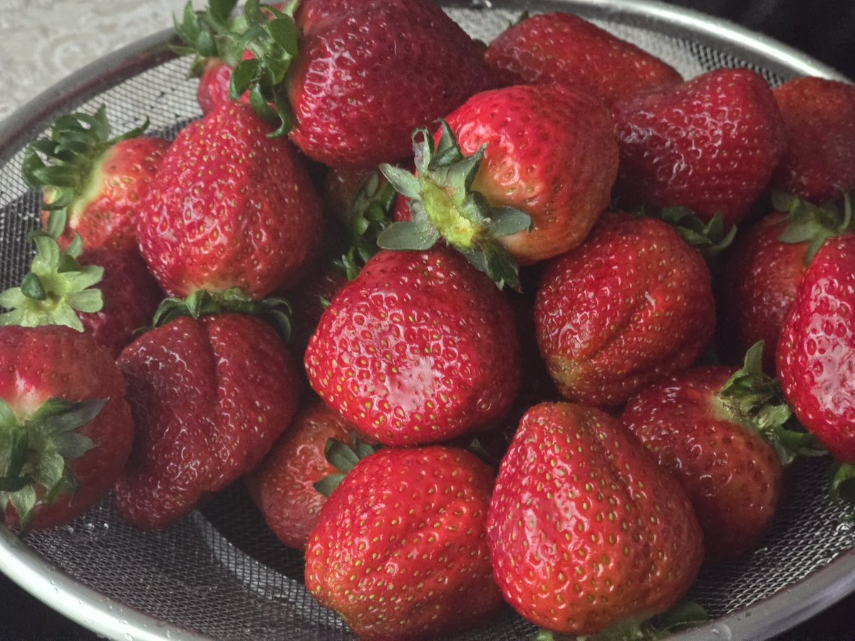 하데스돌깰때까지집에안간다 tweet media