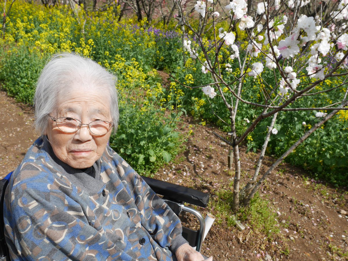 howagroup's tweet photo. 3月30日・4月3日、ふたみ苑にてお花見を実施しました。鳥羽市民の森や花の広場で満開の桜を鑑賞し、「きれい」との声や感動の涙も見られました。春を感じる穏やかな時間となりました。今後も季節の行事を大切にしてまいります。 https://t.co/AZb51GeqCz