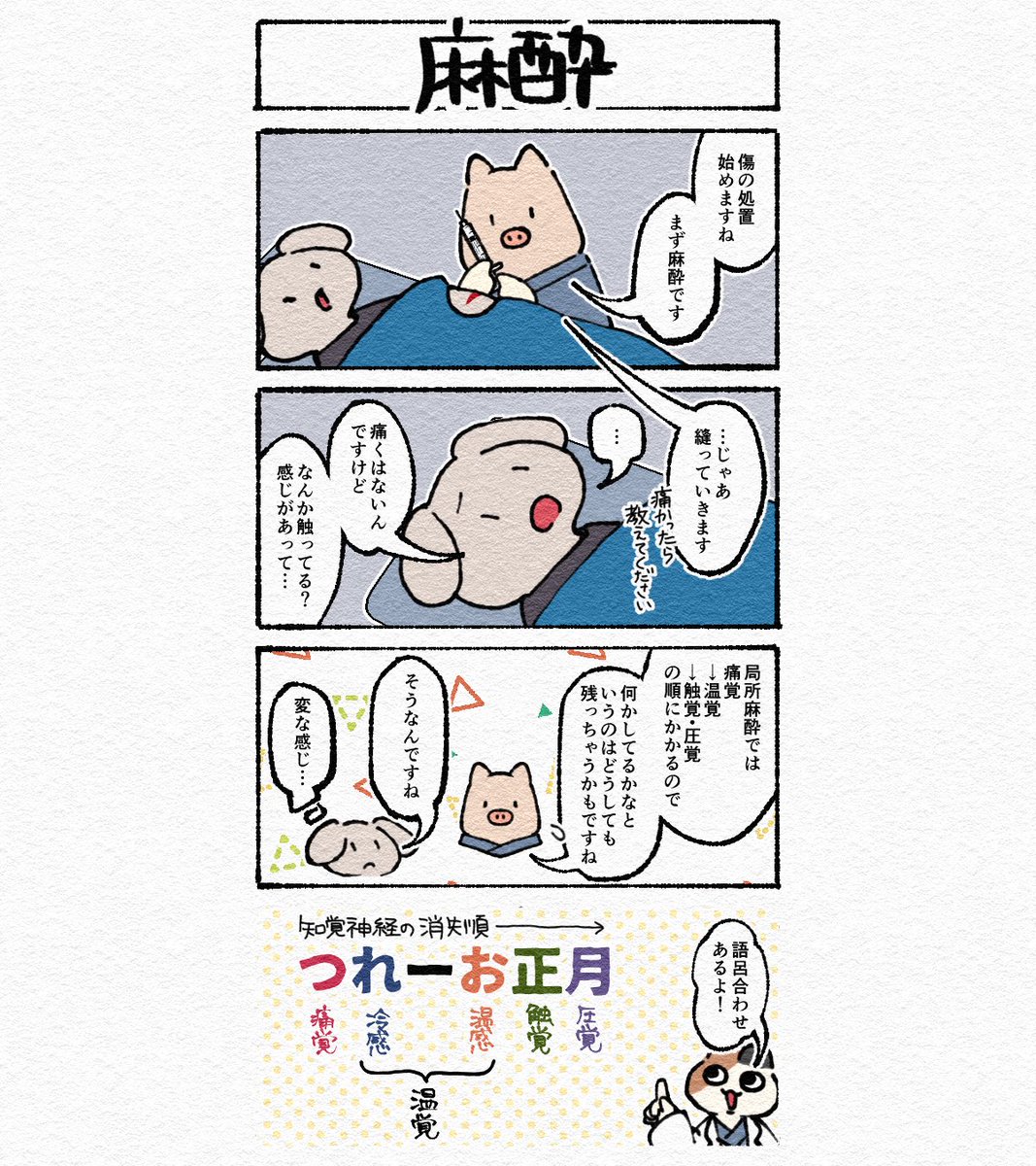 ぽる@医者 漫画 tweet media