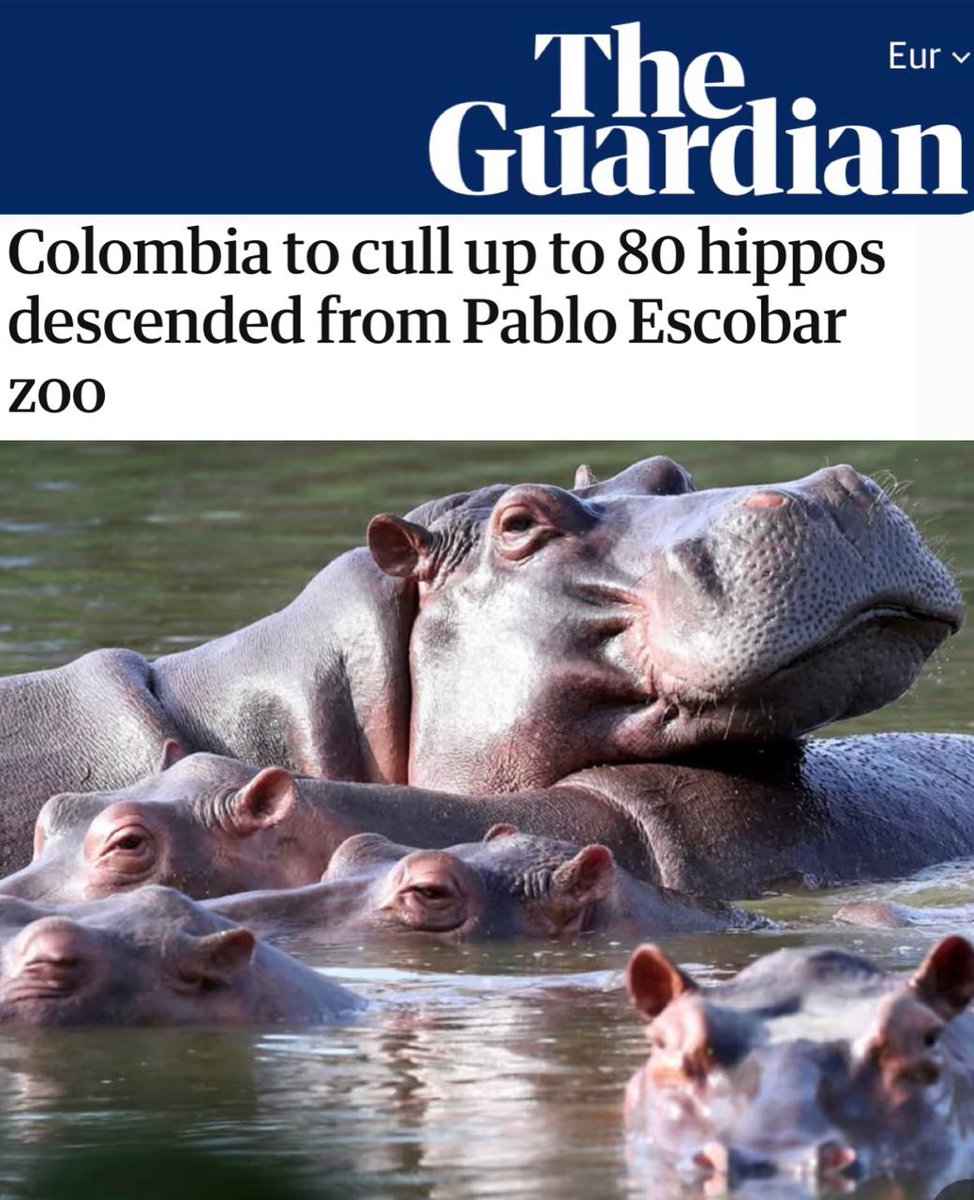 Chay Bowes tweet media