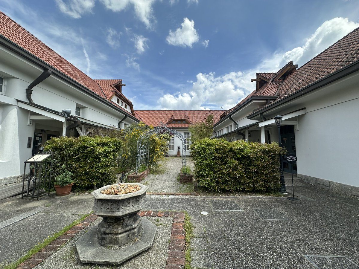 Foo🐾Zoo tweet media