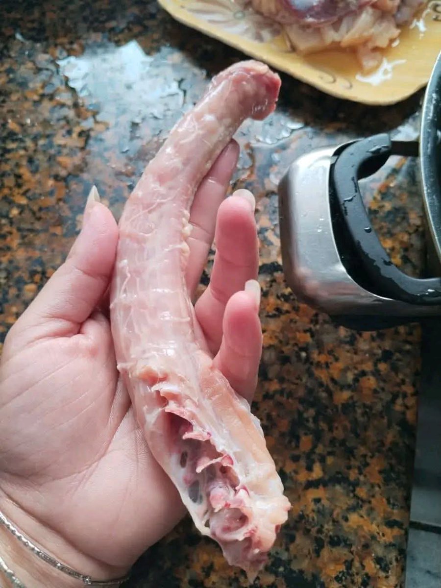 Noor Shah tweet media