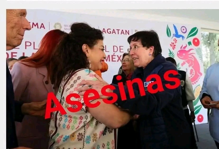 Frases Antitaurinas tweet media