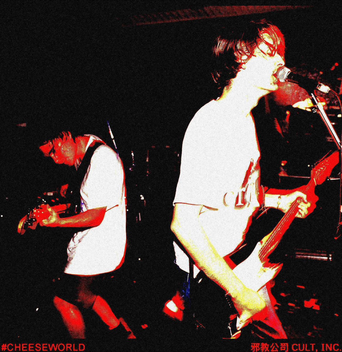 seldomscenester tweet media