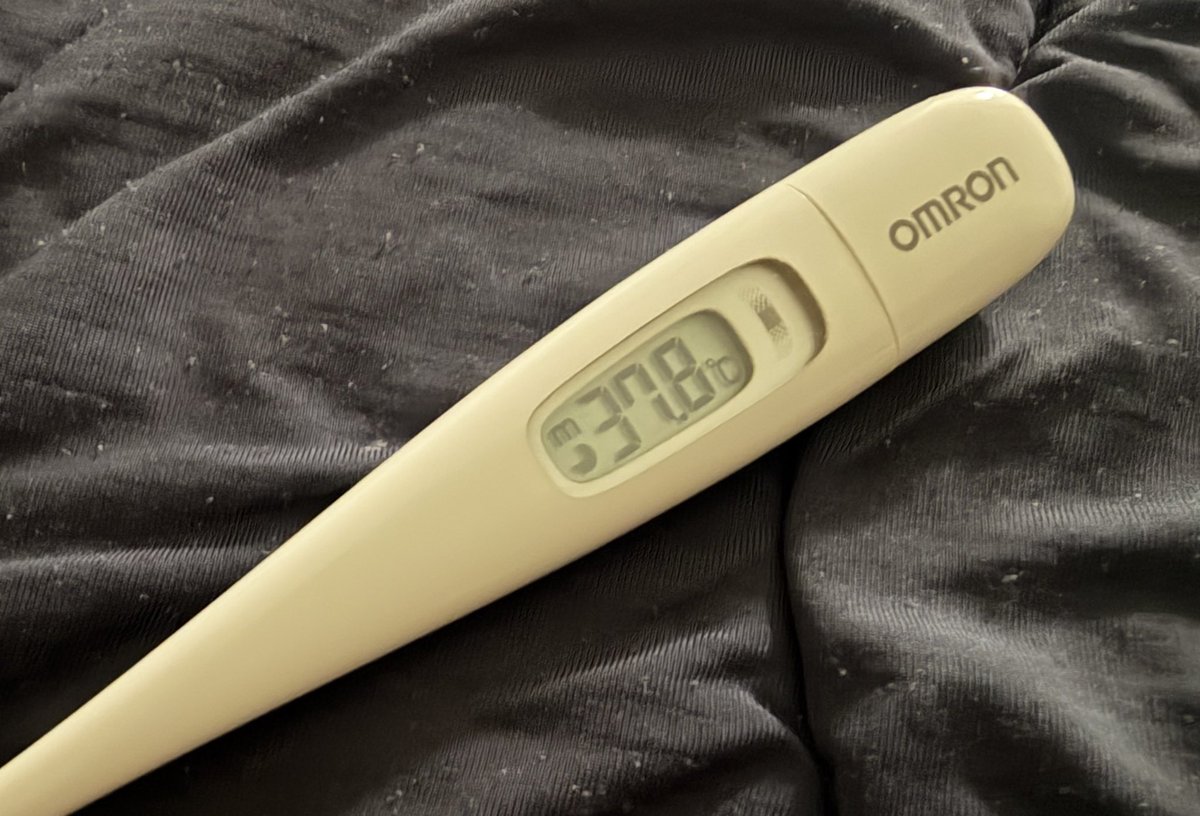 よっくん.zZ tweet media