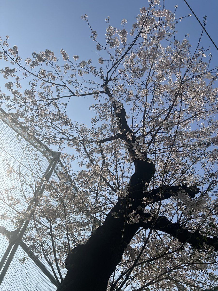 山内総一郎 tweet media