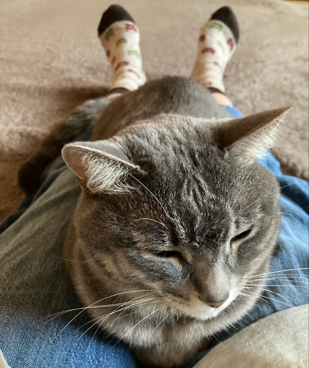 れちな@佇まいがお城 tweet media