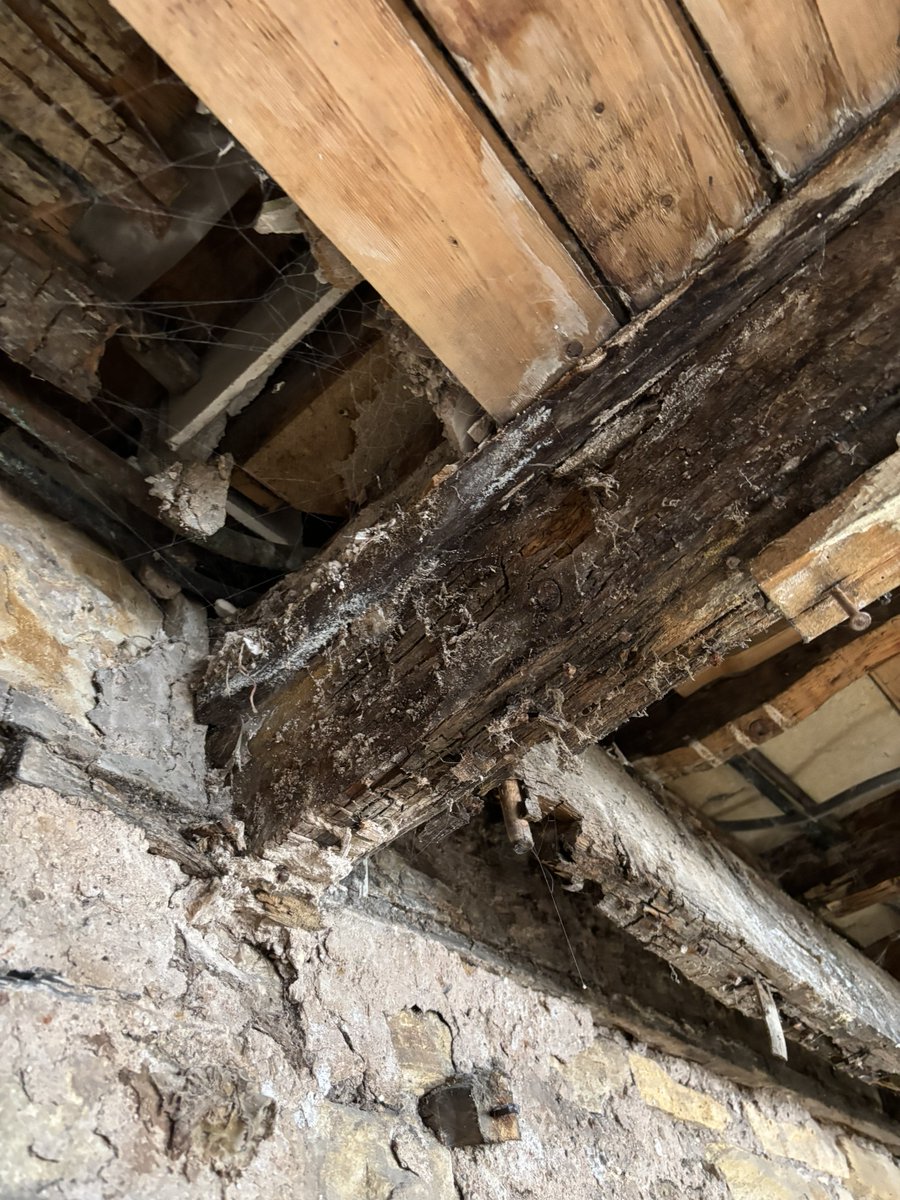 Timberwise tweet media