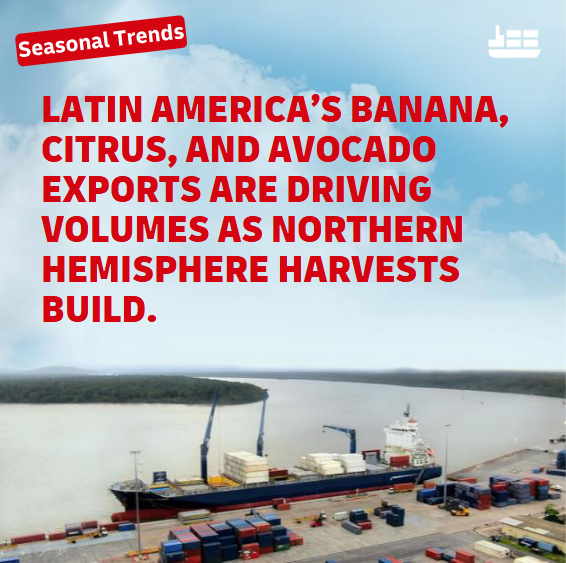 dhl_forwarding's tweet photo. 📚 Read the full report from our Ocean Reefer Experts:
👉 https://t.co/IhOFfVK9qp

#DHLGlobalForwarding #FreightForwarding #ReeferContainer #OceanFreight https://t.co/RavRW70BHC