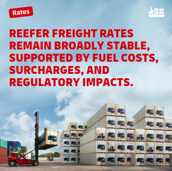 dhl_forwarding's tweet photo. 📚 Read the full report from our Ocean Reefer Experts:
👉 https://t.co/IhOFfVK9qp

#DHLGlobalForwarding #FreightForwarding #ReeferContainer #OceanFreight https://t.co/RavRW70BHC