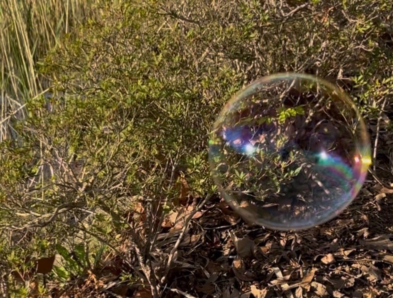 Mujifa 【天仙】 tweet media