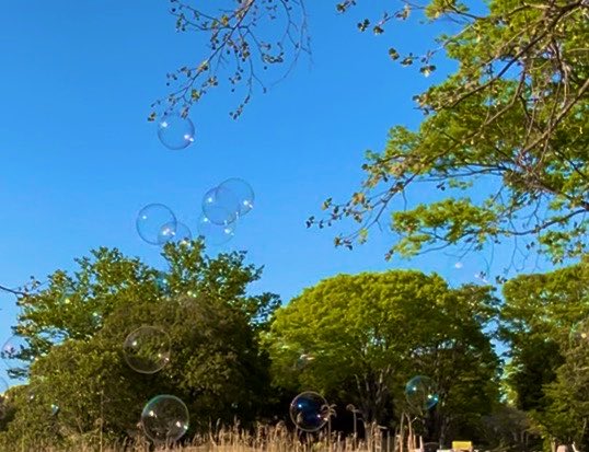 Mujifa 【天仙】 tweet media