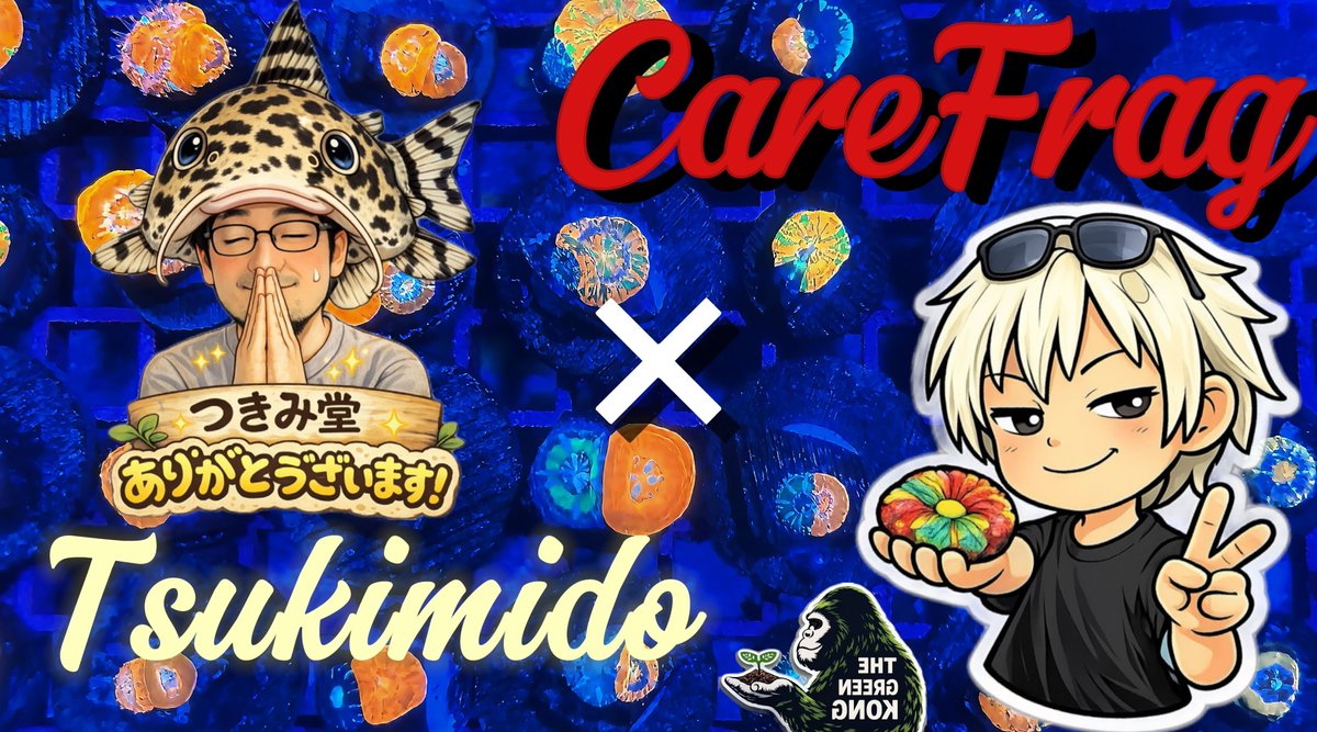 CORALROOM公式 tweet media