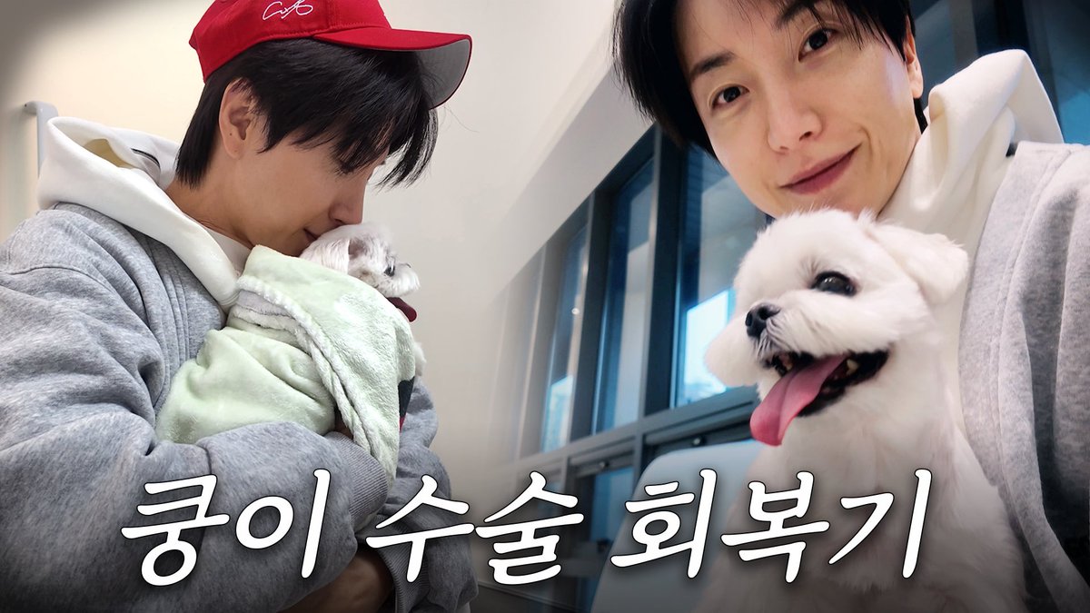 SUPER JUNIOR tweet media