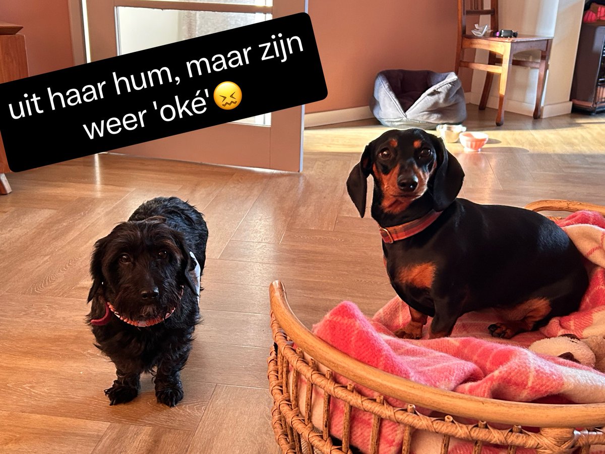 Machteld🐄 tweet media