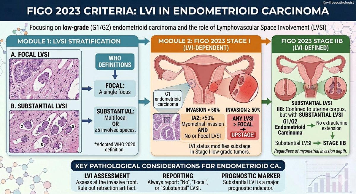 senaadsizdayanc's tweet image. #gynpath
#pathology