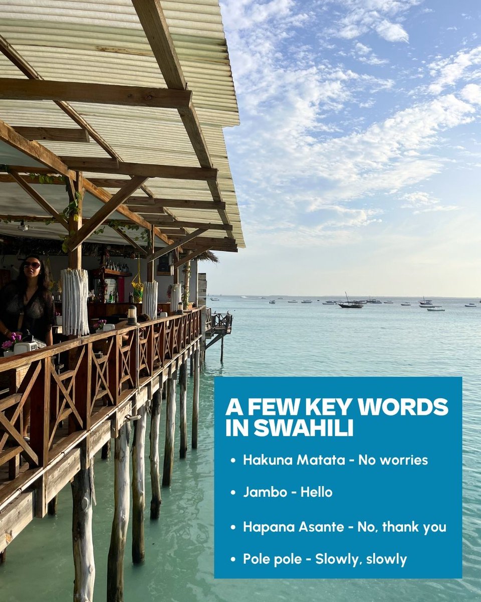 jacks_flights's tweet image. Zanzibar is a set of islands in Tanzania, located just off the coast of Dar es Salaam 🌍

Wanna learn more? Click the link below to read our full Zanzibar guide 🐬brnw.ch/21x1zDC

#zanzibar #tanzania #traveltips #zanzibarguide #cheapflights